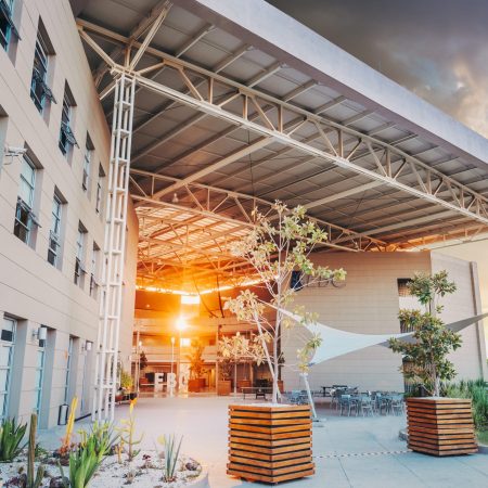 _DCF6711-Editar-Editar-Editar